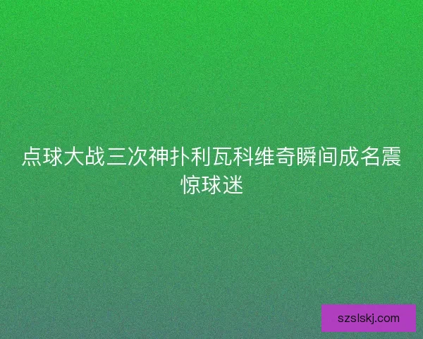 点球大战三次神扑利瓦科维奇瞬间成名震惊球迷