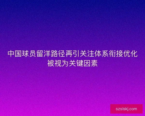 中国球员留洋路径再引关注体系衔接优化被视为关键因素