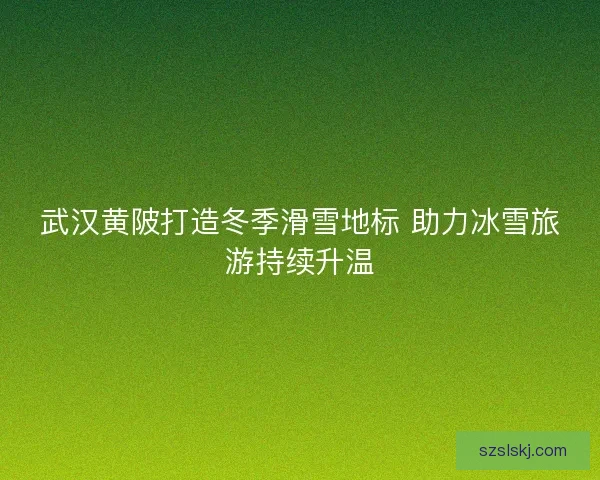 武汉黄陂打造冬季滑雪地标 助力冰雪旅游持续升温