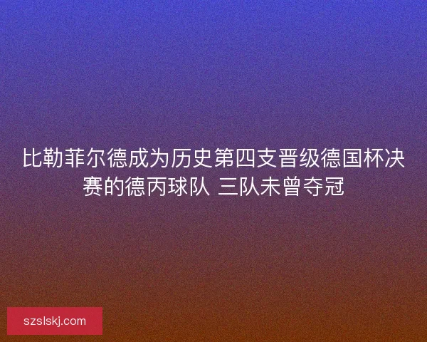 比勒菲尔德成为历史第四支晋级德国杯决赛的德丙球队 三队未曾夺冠
